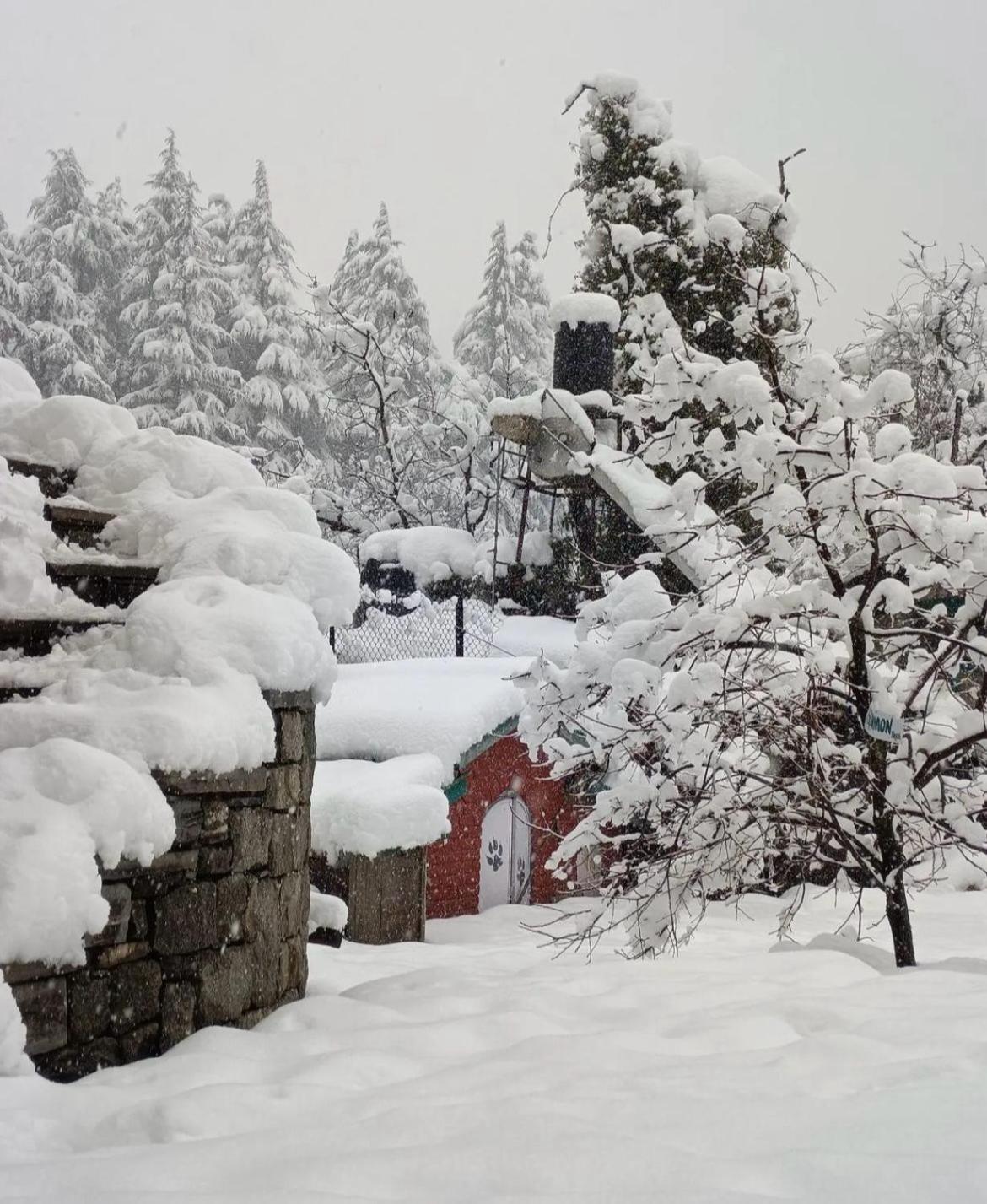 Mudhouse Old Manali Bed & Breakfast Dış mekan fotoğraf